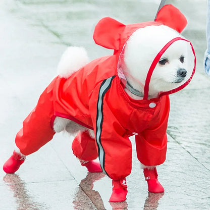 Small fluffy white dog wearing the bear raincoat in color red 