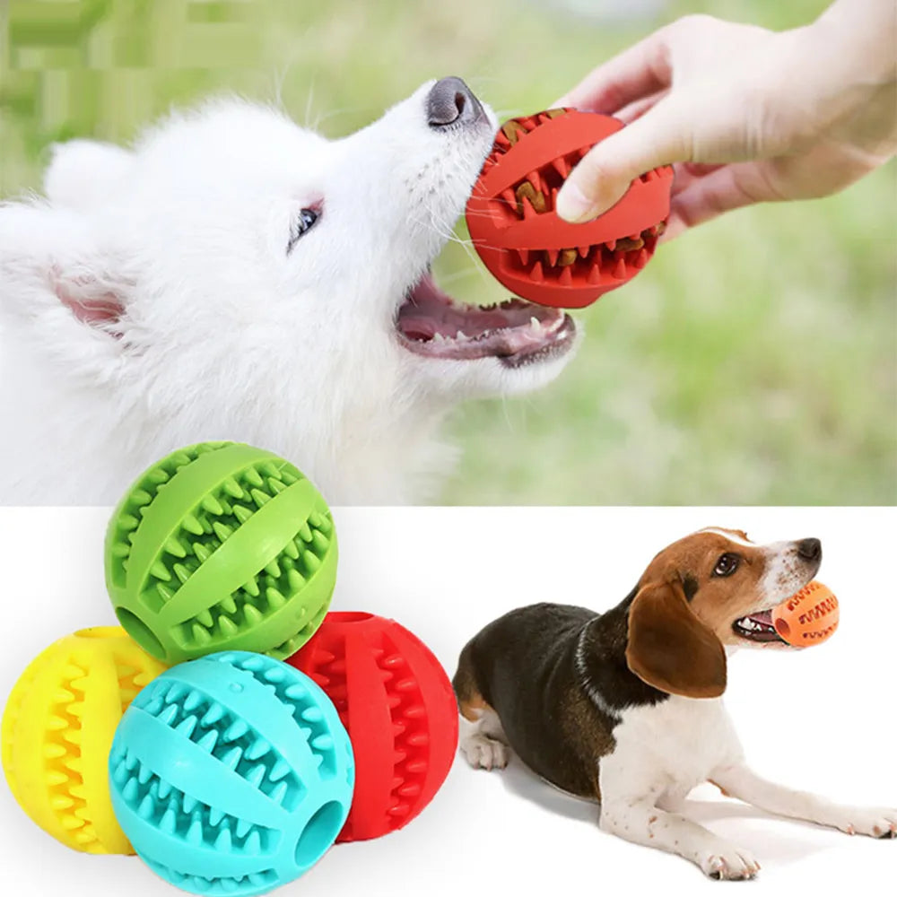 Chew Blitz Dog Ball