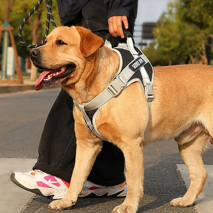 Kim pets Harness