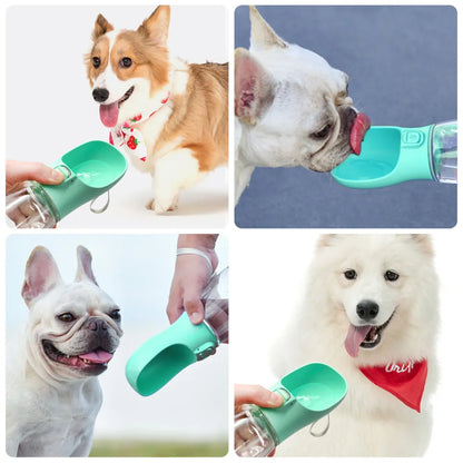 Aqua Paws Bottle