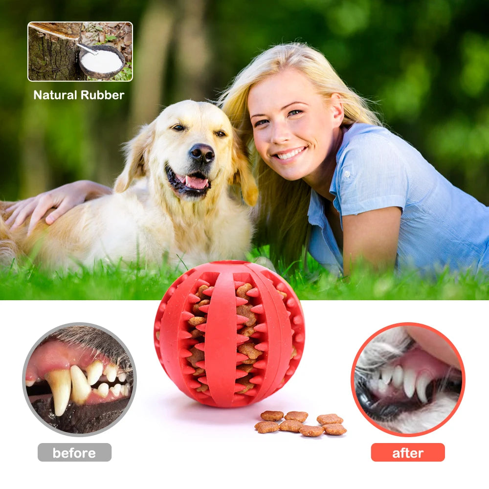 Chew Blitz Dog Ball