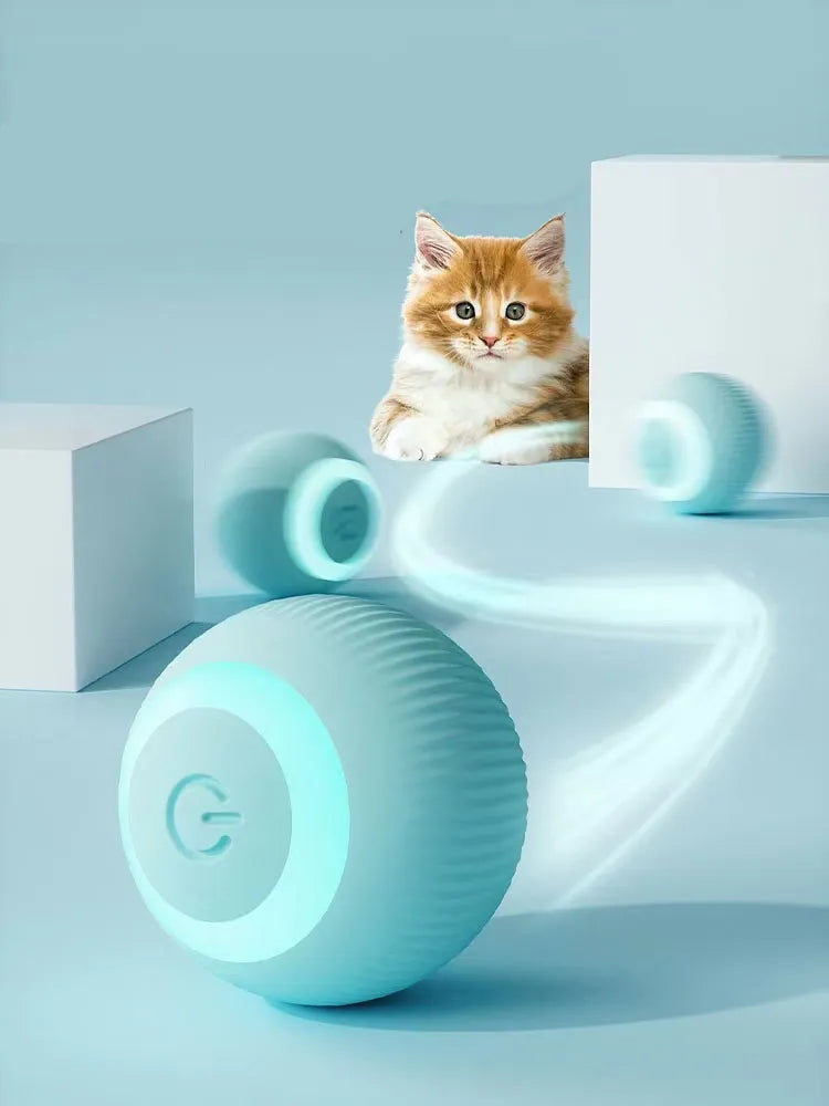 Cat Roller Ball