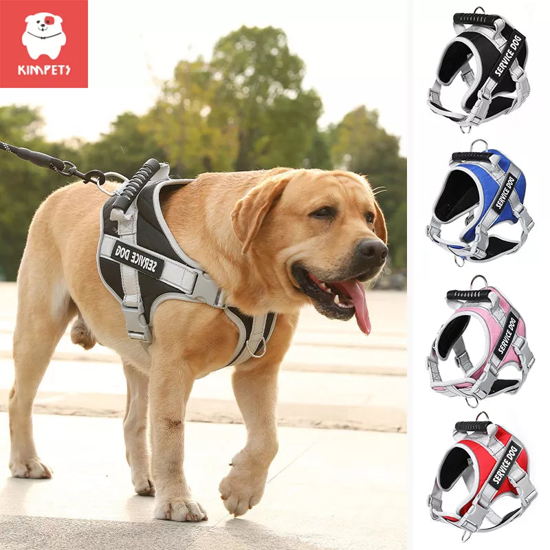 Kim pets Harness