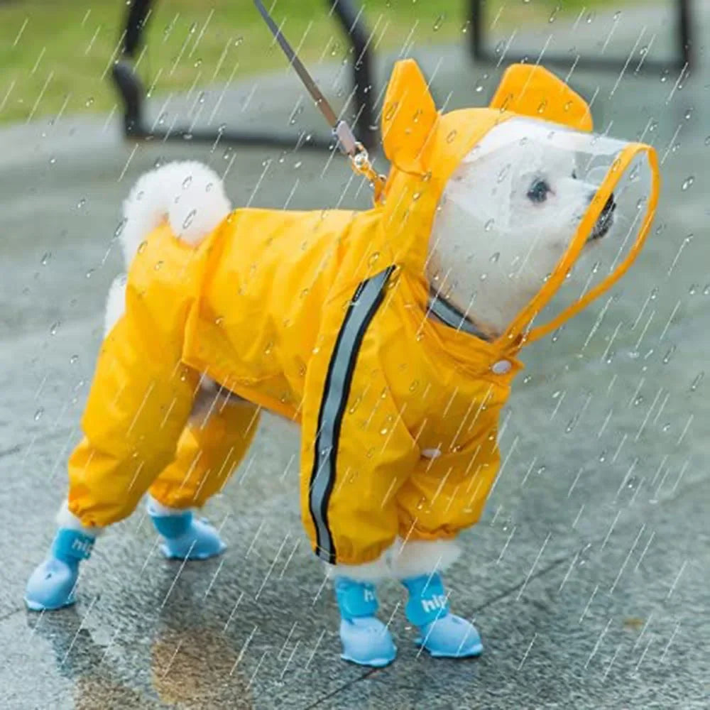 Small white dog standing in rain wearing yellow raincoat 